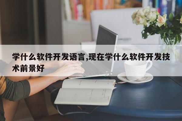 学什么软件开发语言,现在学什么软件开发技术前景好